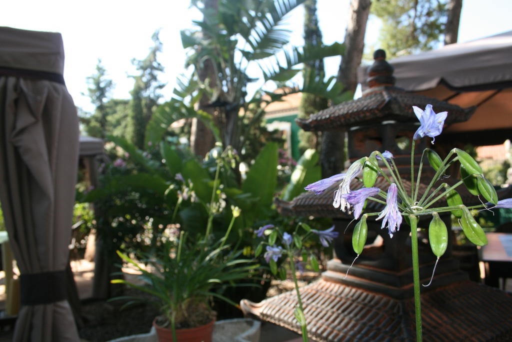 Boutique Mr Palau Verd - Adults Only