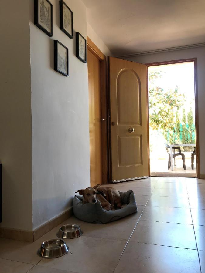 Сasa de vacaciones Jazmín *