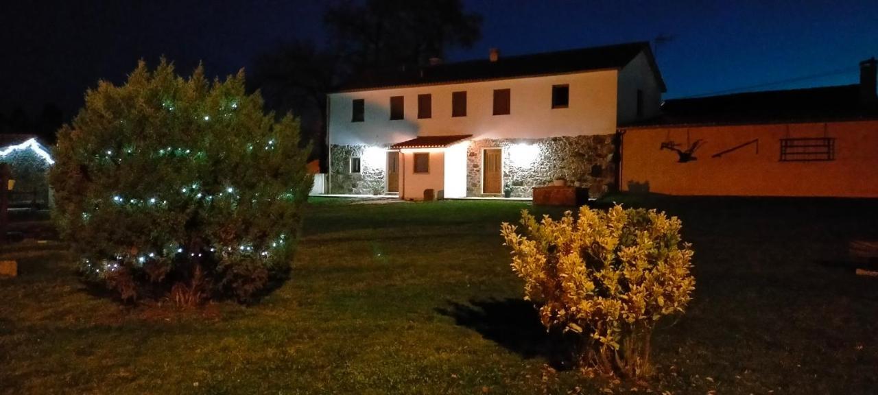 O Labrego De Apartment