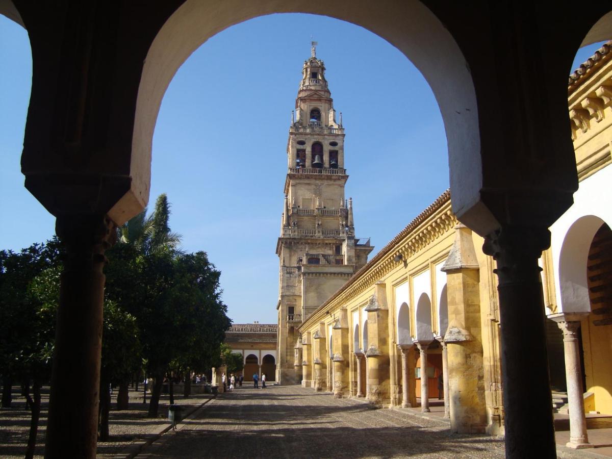 The Cathedral *