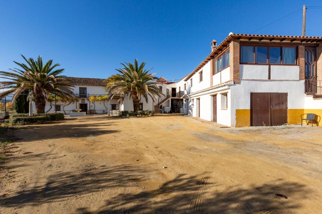 Almazara De * Paulenca