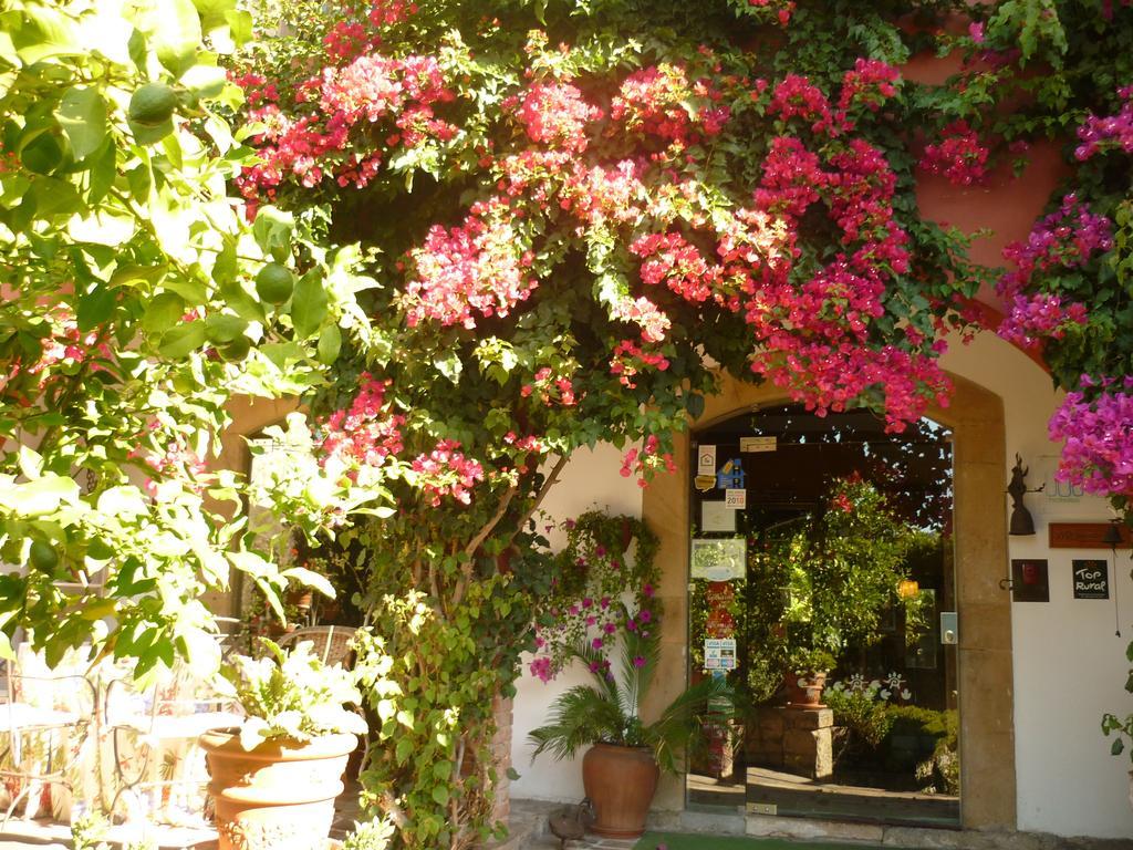Mar Del Sueve Hotel Colunga