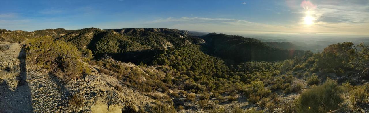 Amanece *