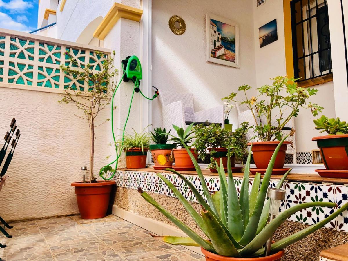 Apartment Mediterranean House *