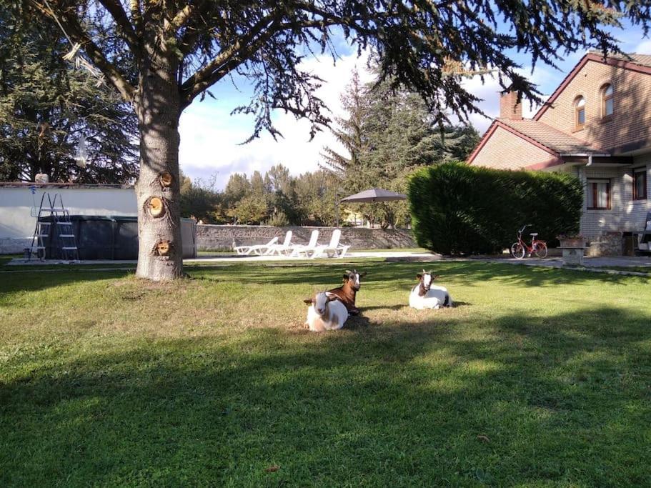 Сasa de vacaciones Kira En Merindades Barcenillas del Ribero