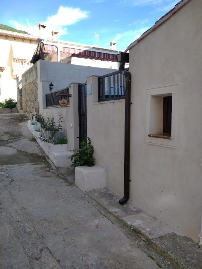 El Naranjo *