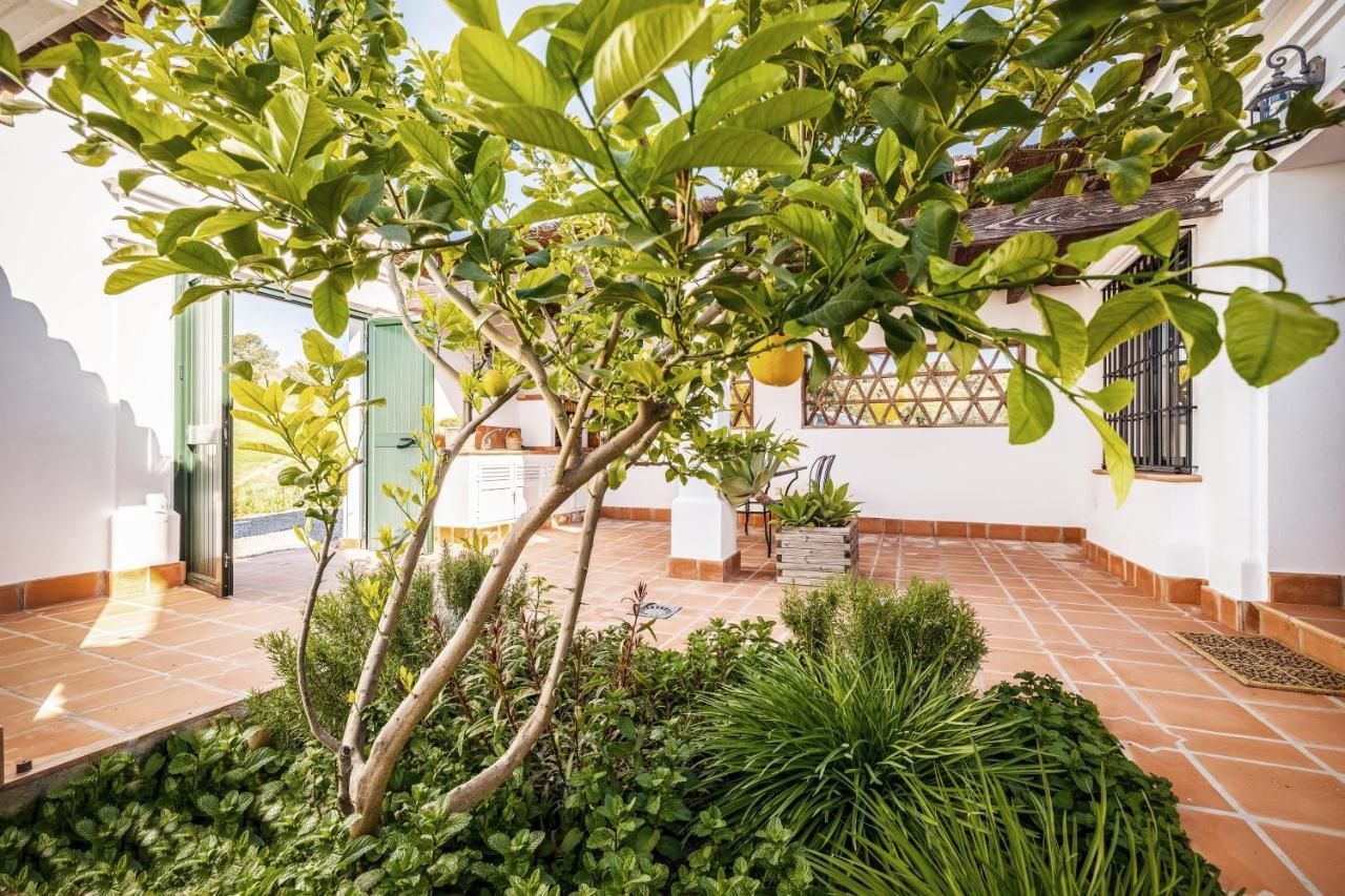 Rosas Cantares: Casa Maurus.