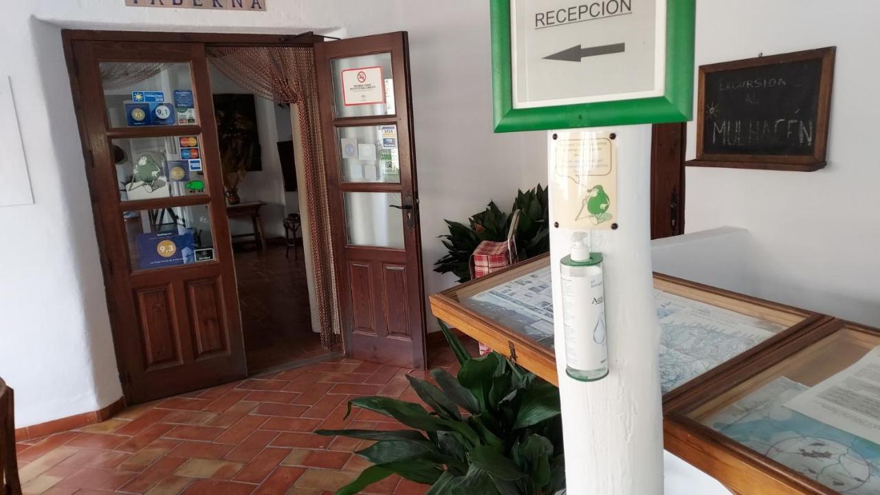 Bed & Breakfast La Oveja De La Alpujarra *