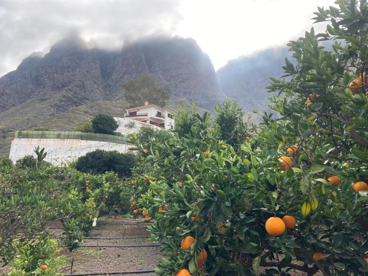 Apartamento Casa Camino Tamadaba Ii Agaete (Gran Canaria)