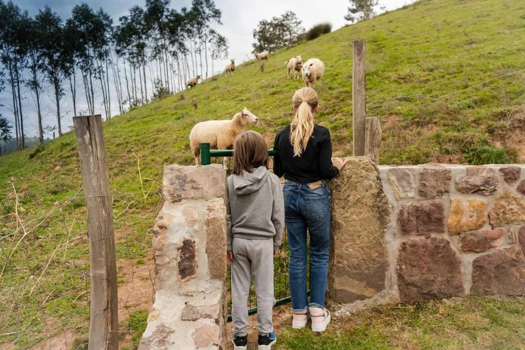 Leyendas Del Miera