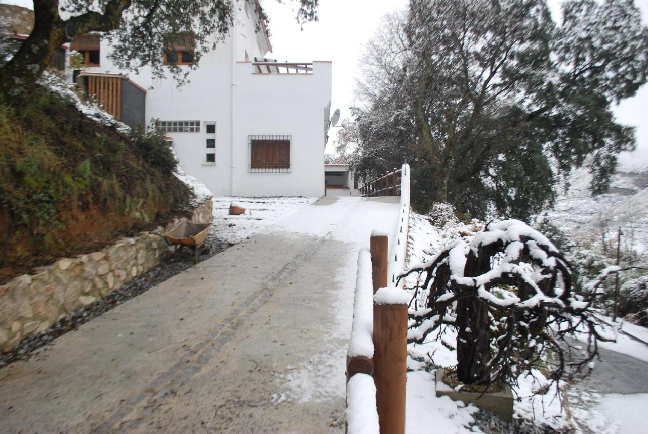 Encinar De Aguas Blancas