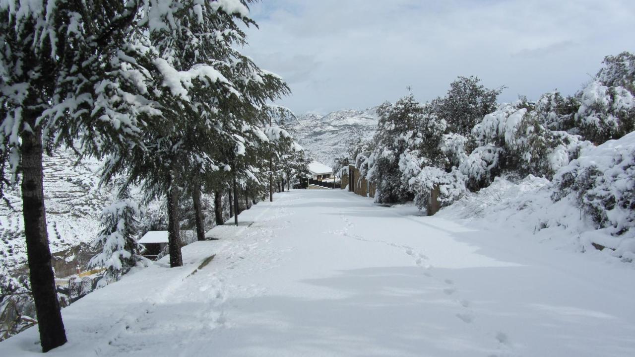 Encinar De Aguas Blancas Country house *