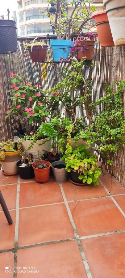 Apartamento Turístico Florhouse *