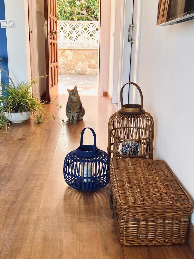 Apartamento Sailor Sea Views *