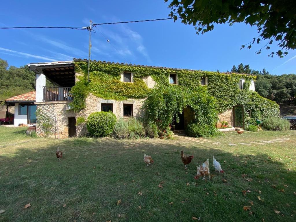 Canaleta Rural * Santa Coloma De Farners