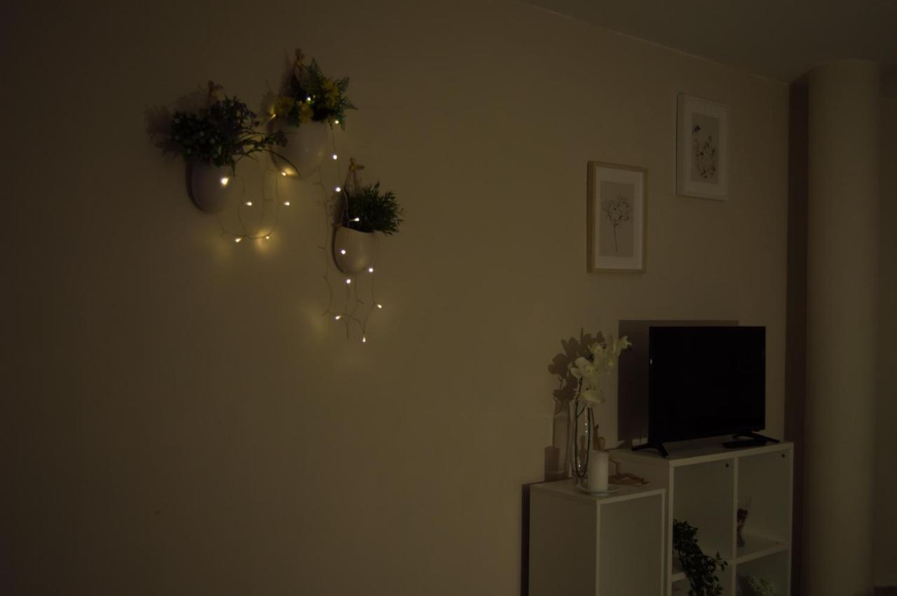 Apartamento Luminoso Y Coqueto En *