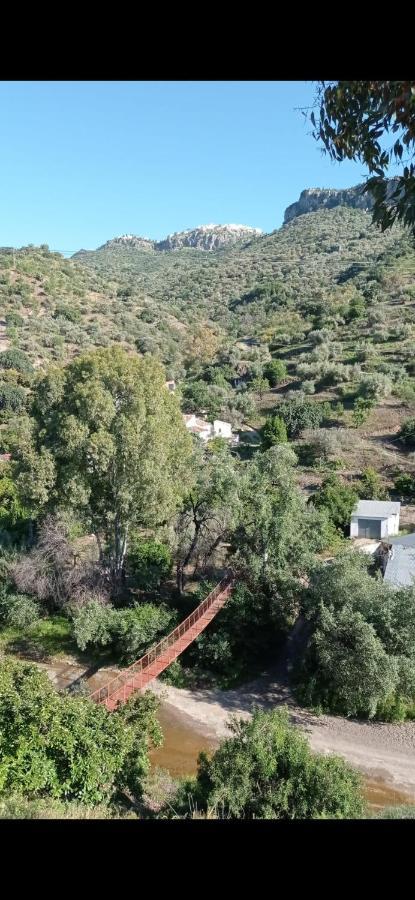 Loft Rural Molinillo Holiday home Comares