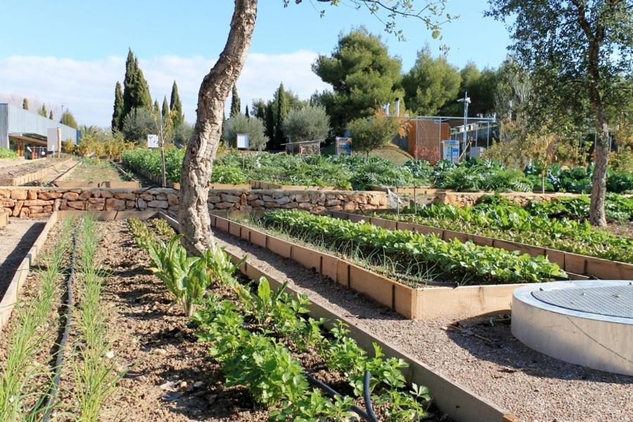 Centro De Agroecologia Y Medio Ambiente De Murcia Apartamento