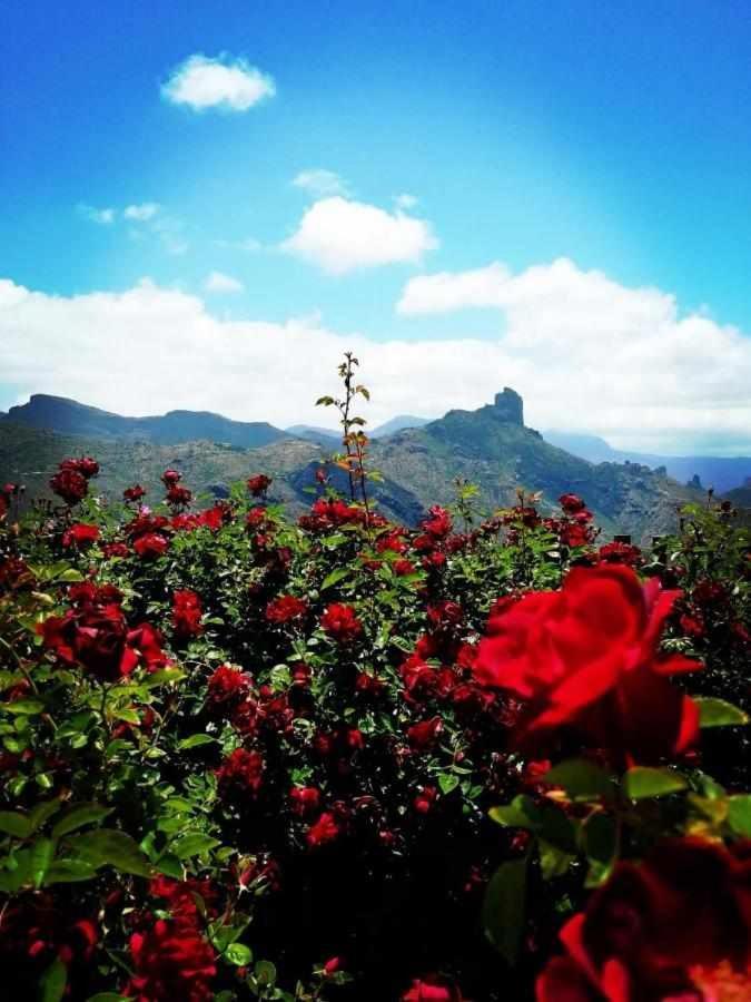 El Rincon Del Nublo Casa rural