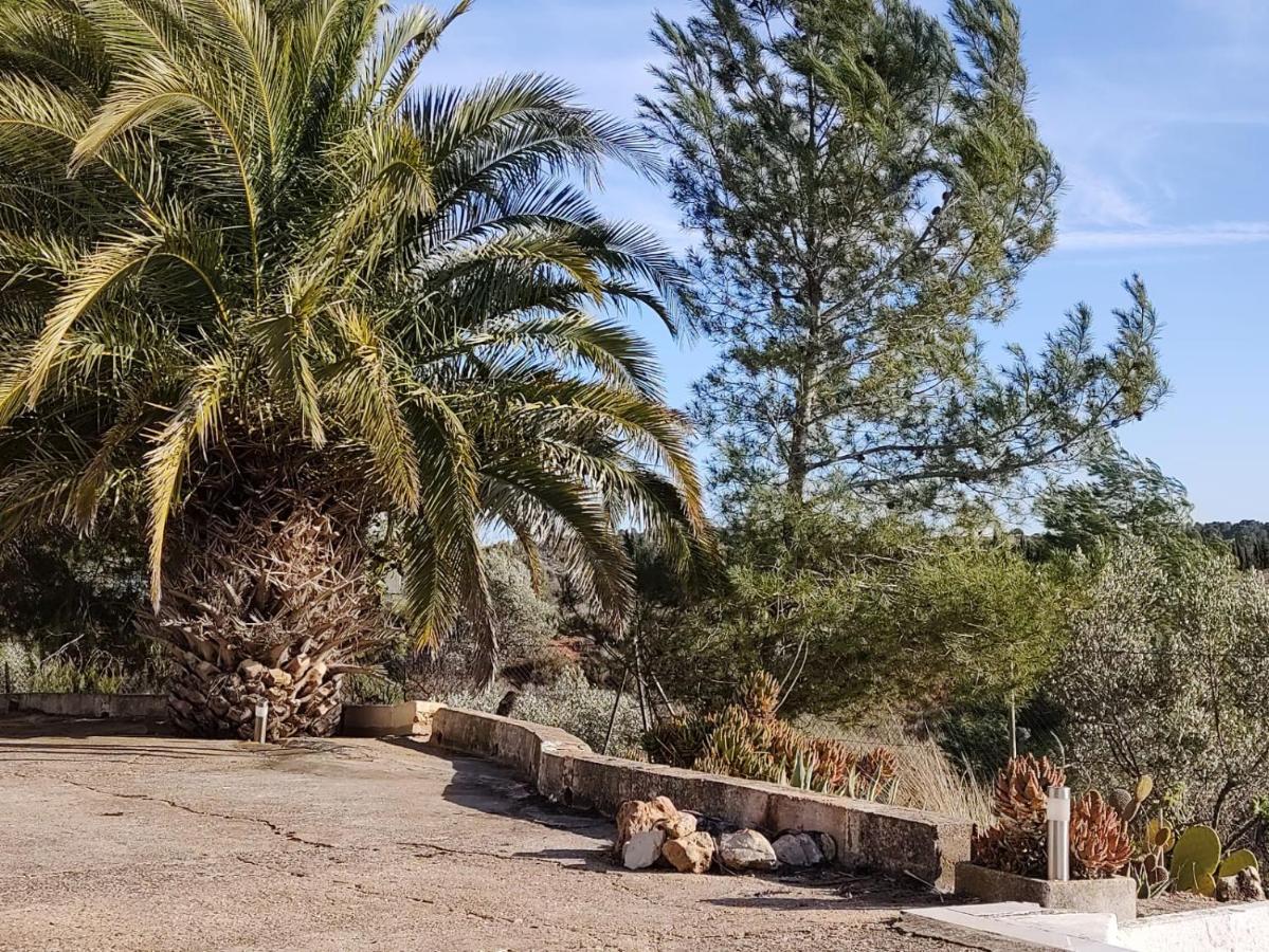 Casa Carmen - Casa Rural Con Piscina Grande - Relajarse Y Desconectar * Alborache