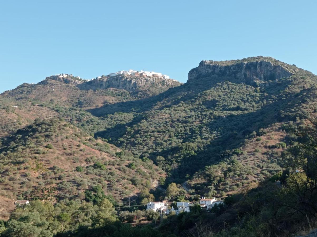 Loft Rural Molinillo
