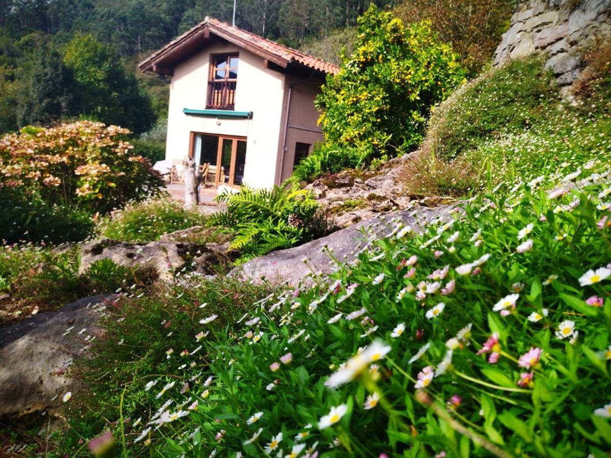 Holiday home La Llosa Del Valle *