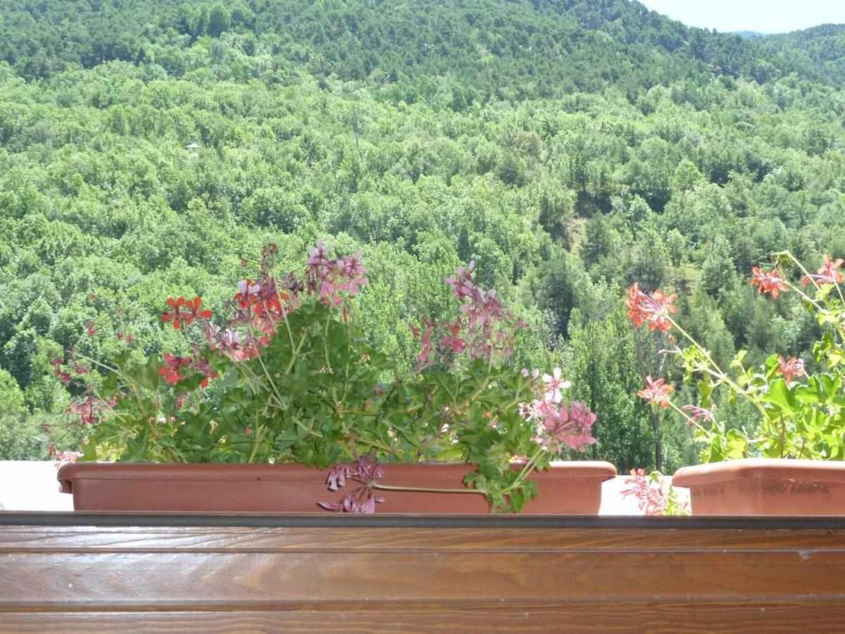 Сasa de vacaciones Casa La Lourdes *