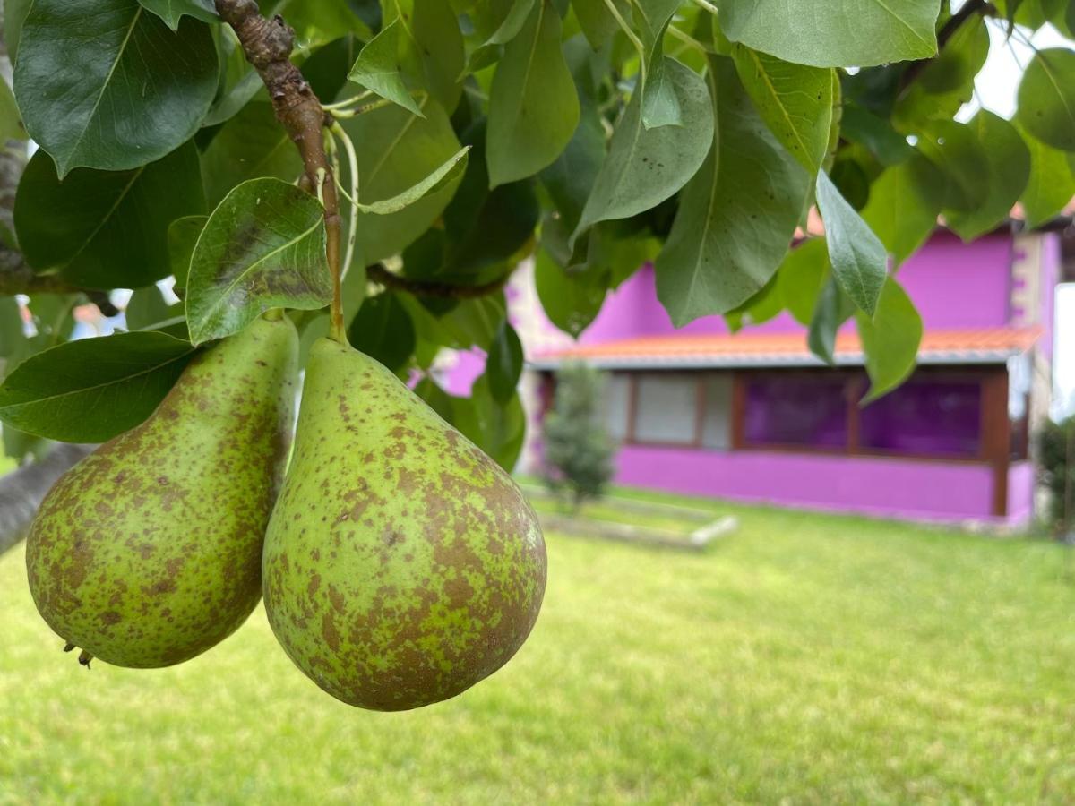 La Casa De Noelia Hinojedo