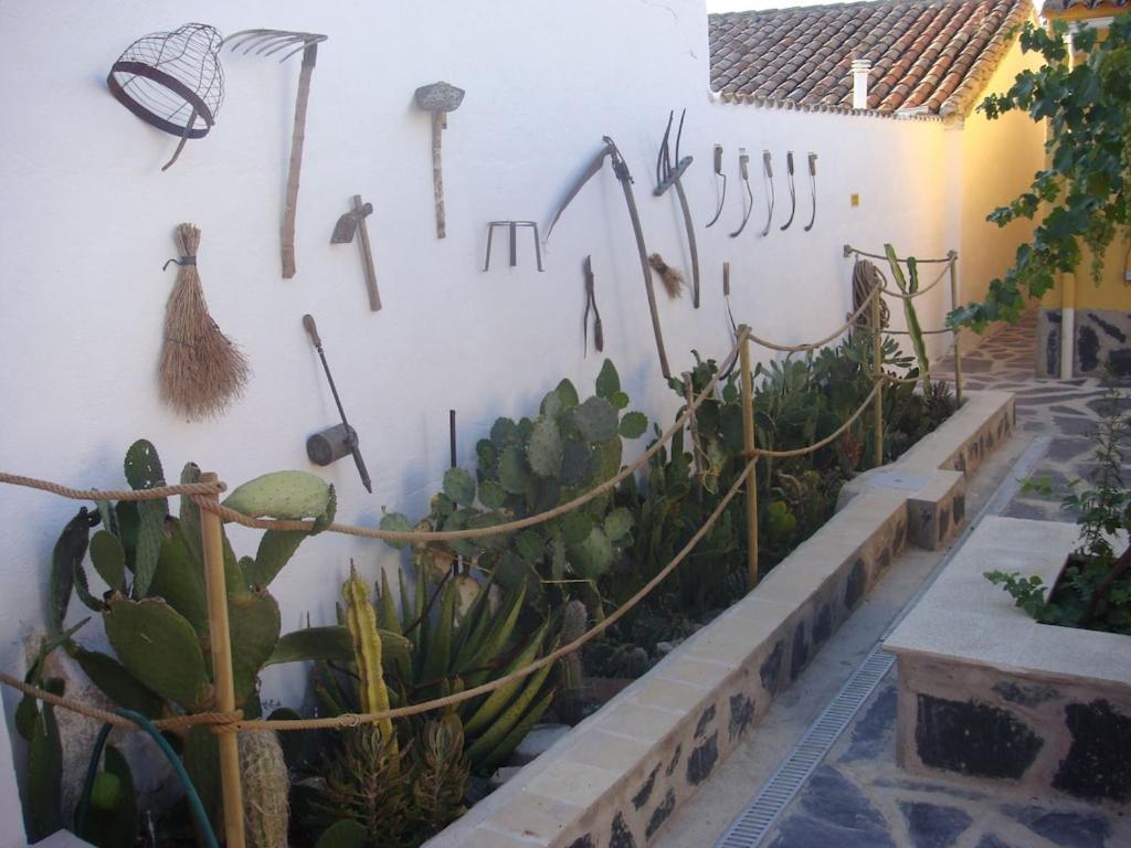 Сasa de vacaciones Casa Labradores Piscina, Spa, Barbacoa Y Salon Juegos *
