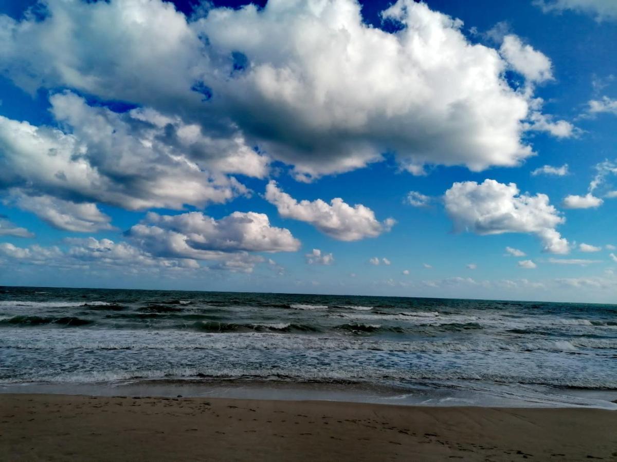 Esperanza Torrevieja