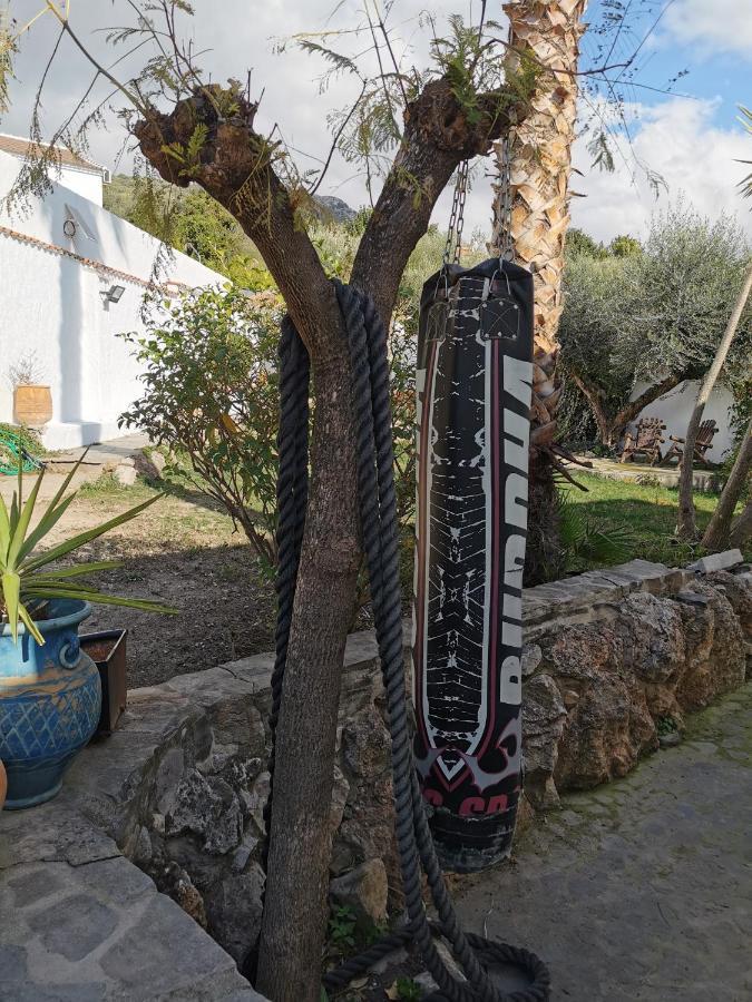 Guest house One Life Malaga Retreat