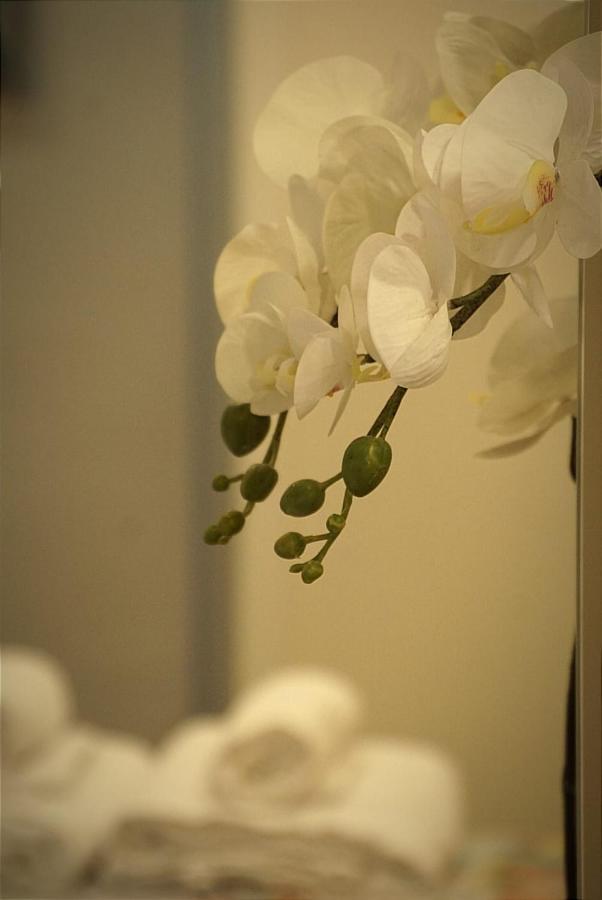 Paula Apartamento Valladolid