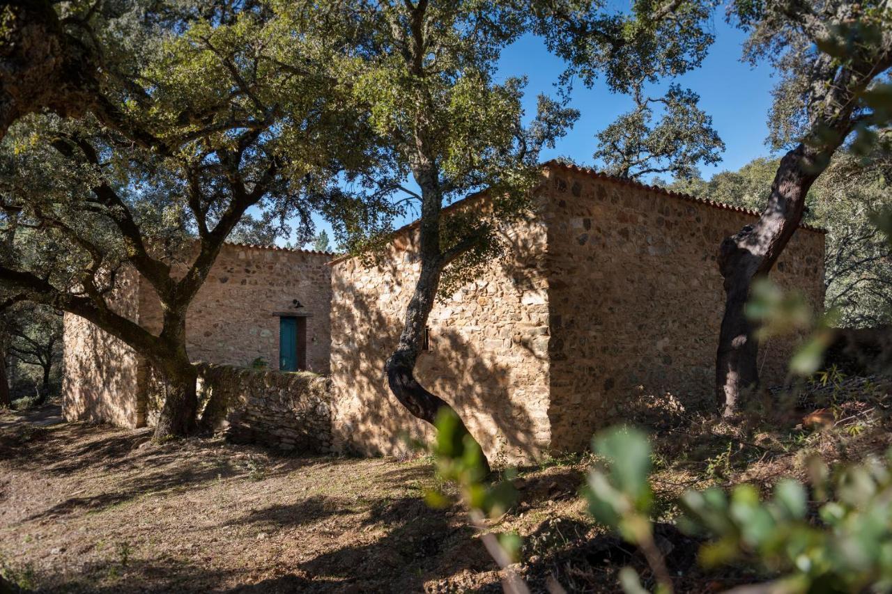 Nature Space Chalet