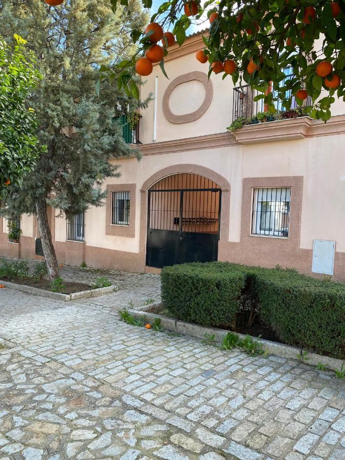 Sevilla. Familia O Profesionales Сasa de vacaciones *