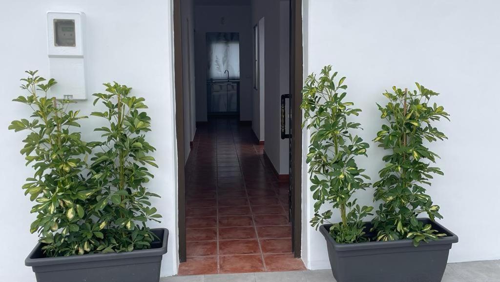 Сasa de vacaciones La Casa De Mami *