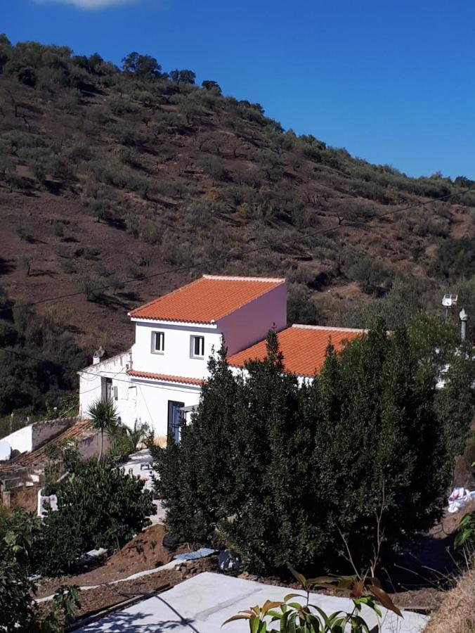 Casa Aguila 2.0 Bed and breakfast