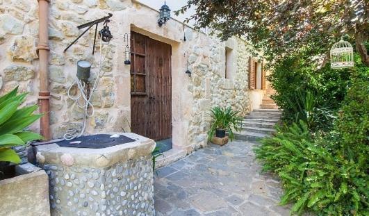 Tronca Sant Joan