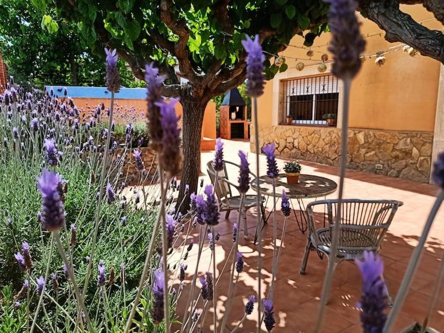 Сasa de vacaciones Mas Del Vent- Barbacoa, Jardín, Piscina Privada Y Vistas A Mar Cunit