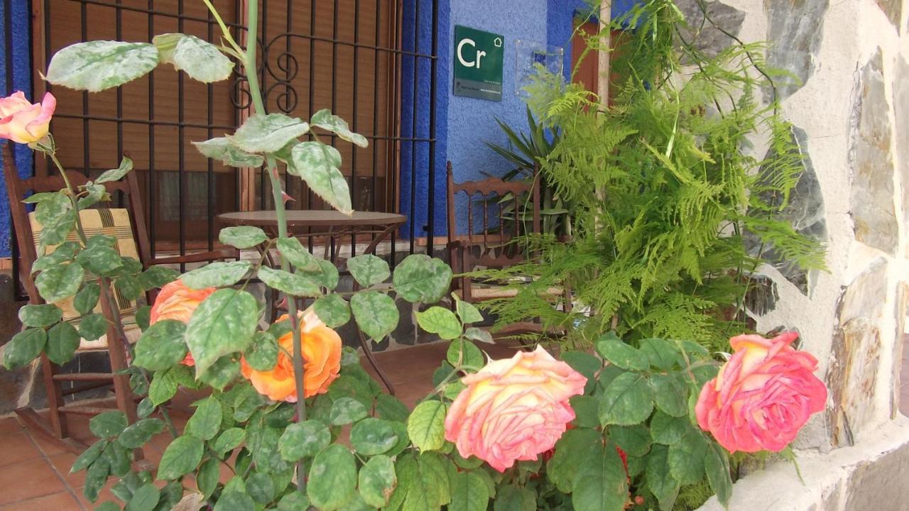 Country house Mi Campo *