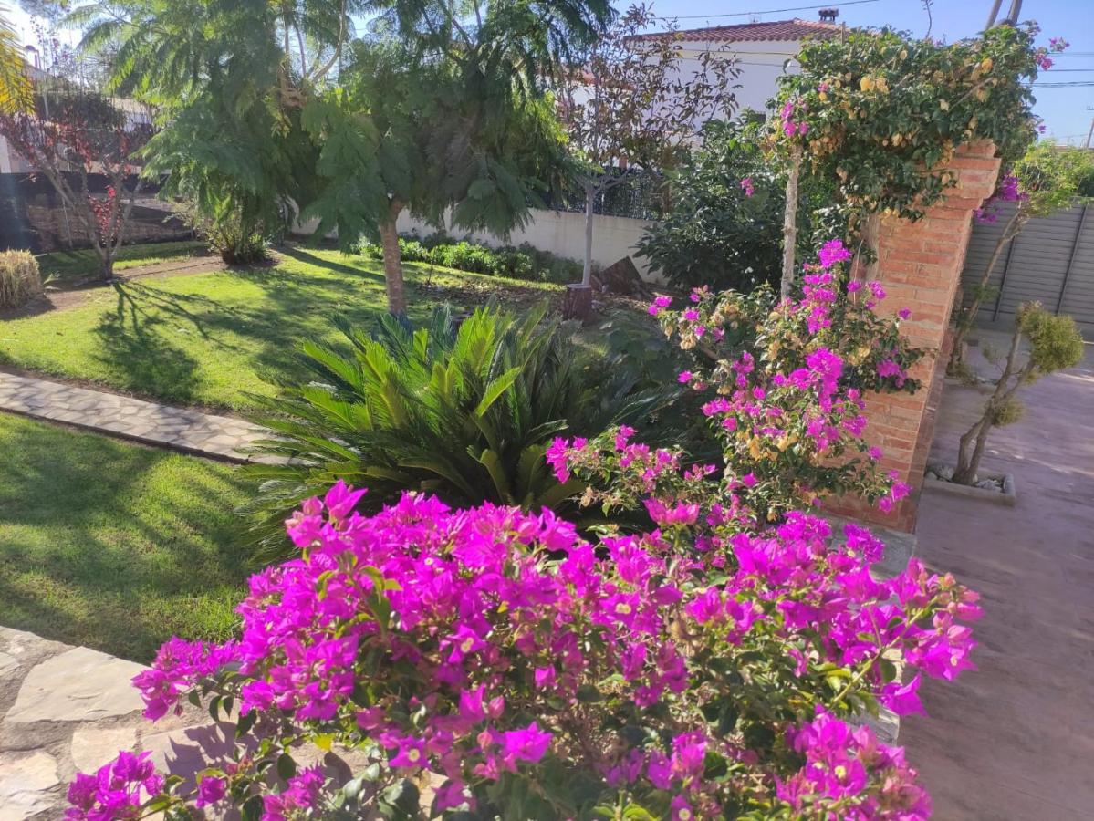 Parets De Sucre Holiday home Les Cases d'Alcanar