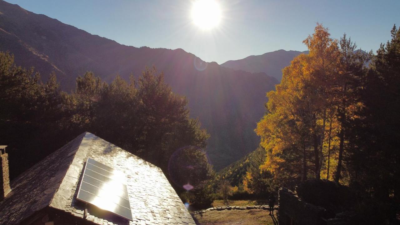 Bordes Pirineu, Pintor