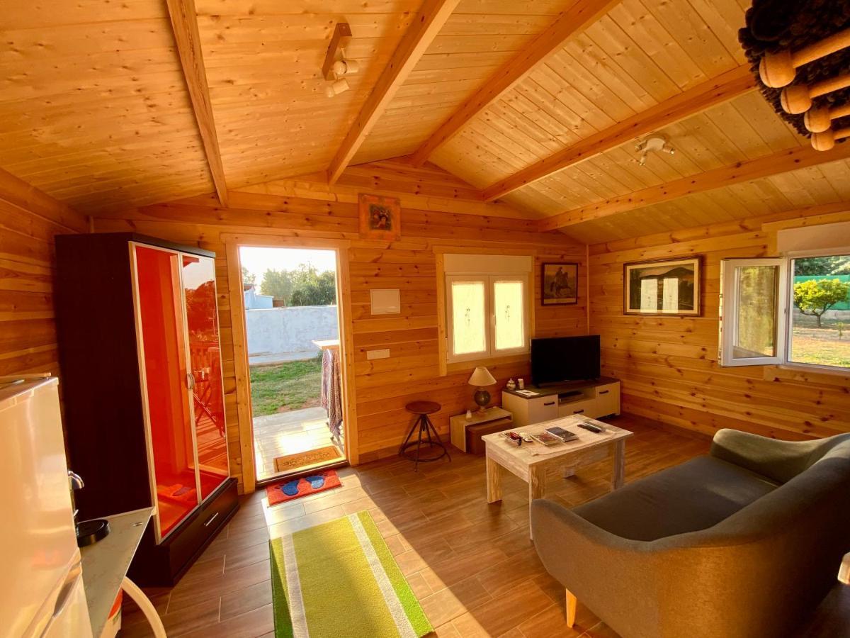 Casa Dominaty Calig