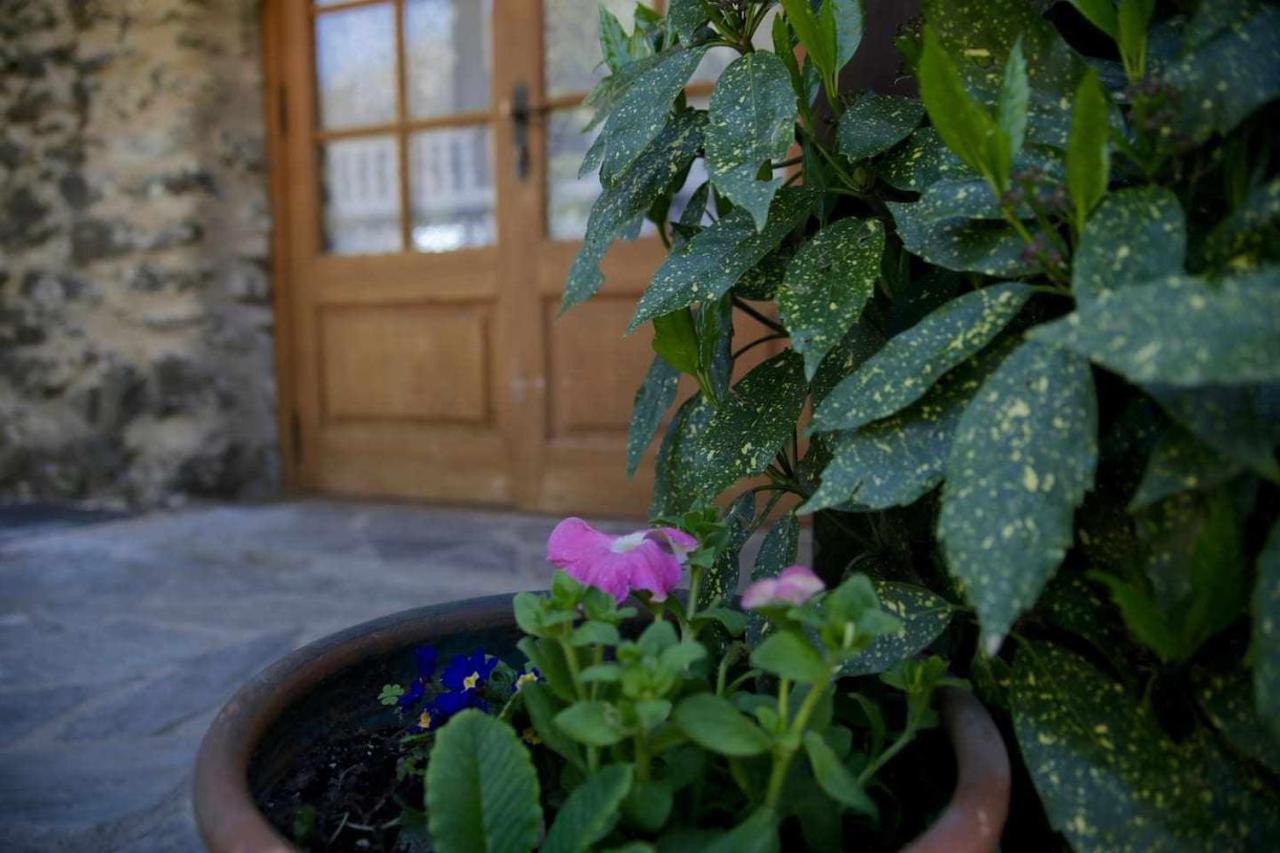 La Cabanya De Planes Un Petit Gran Espai Rocabruna