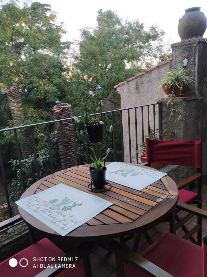 Cactus Apartment Garriguella
