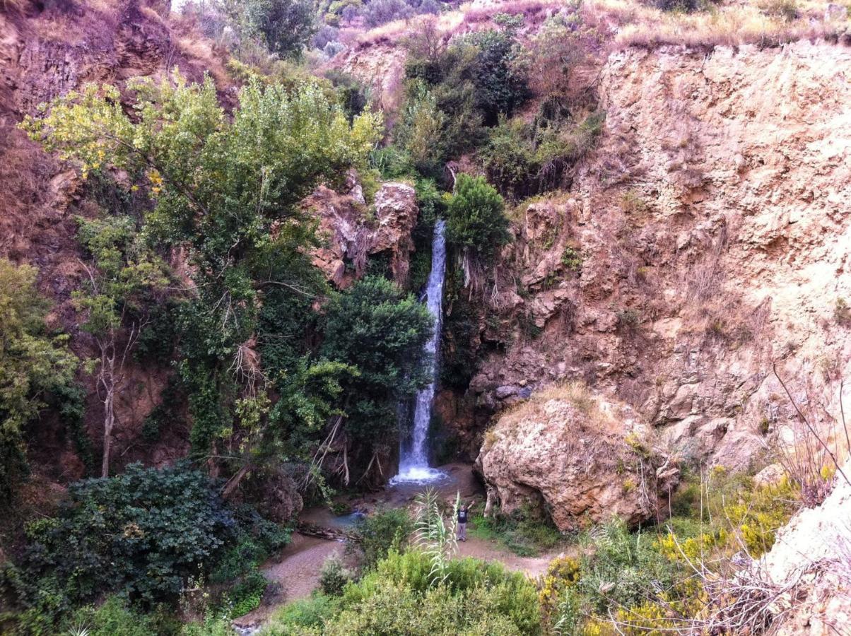 Azahar *