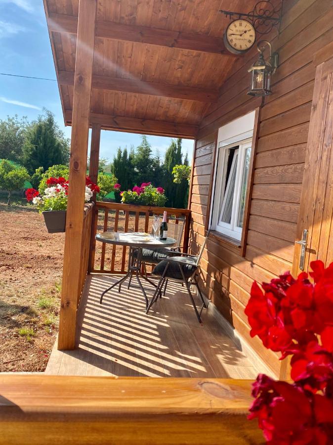 Bed & Breakfast Casa Dominaty *