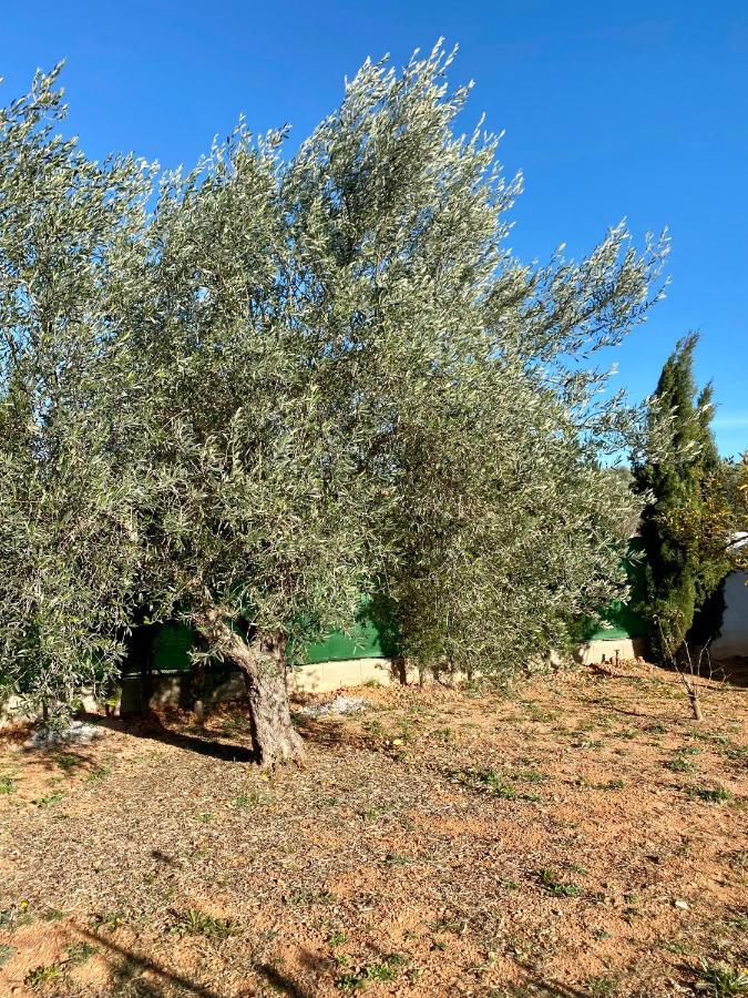 Casa Dominaty Bed & Breakfast Calig