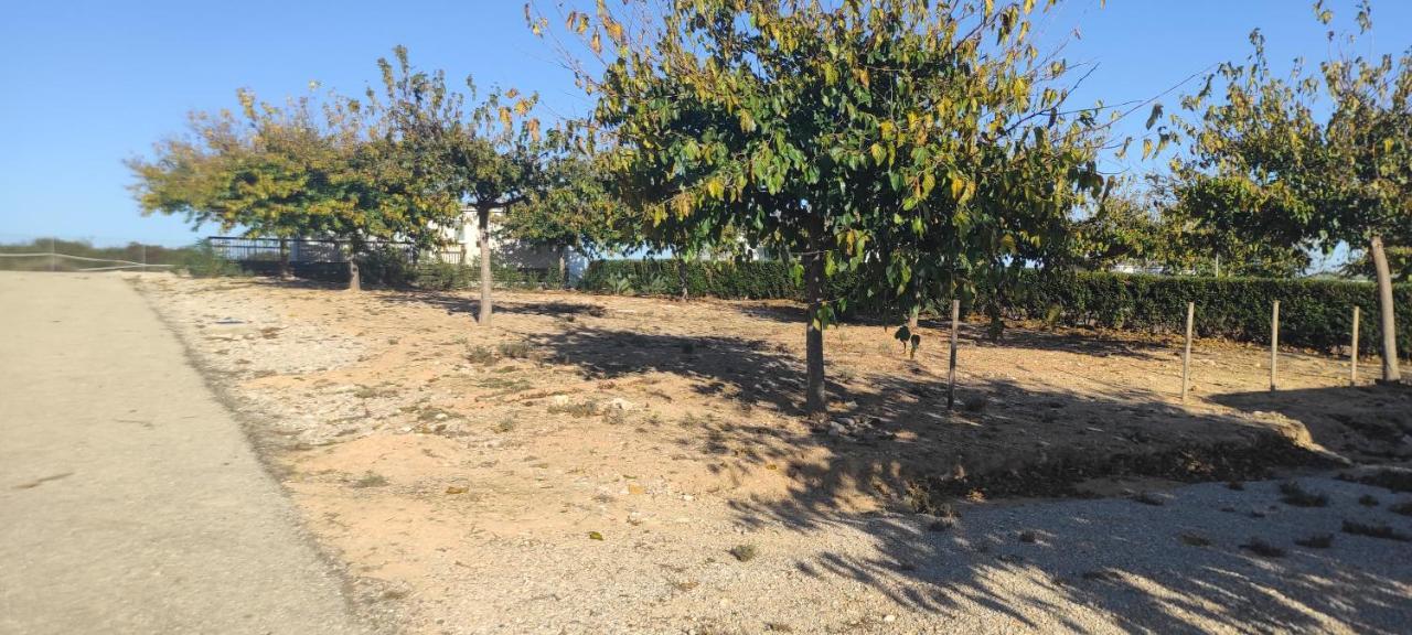 Campsite Maestrat Park Static Homes, Motorhomes, Caravans & Tents