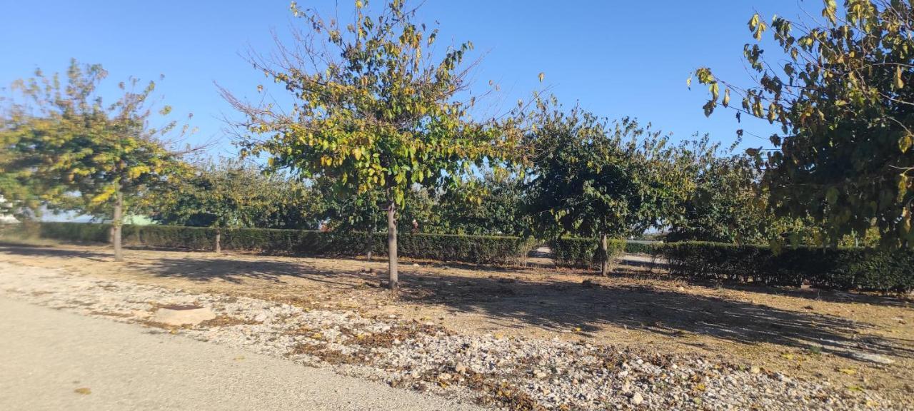 Maestrat Park Static Homes, Motorhomes, Caravans & Tents San Jorge (Castellon)