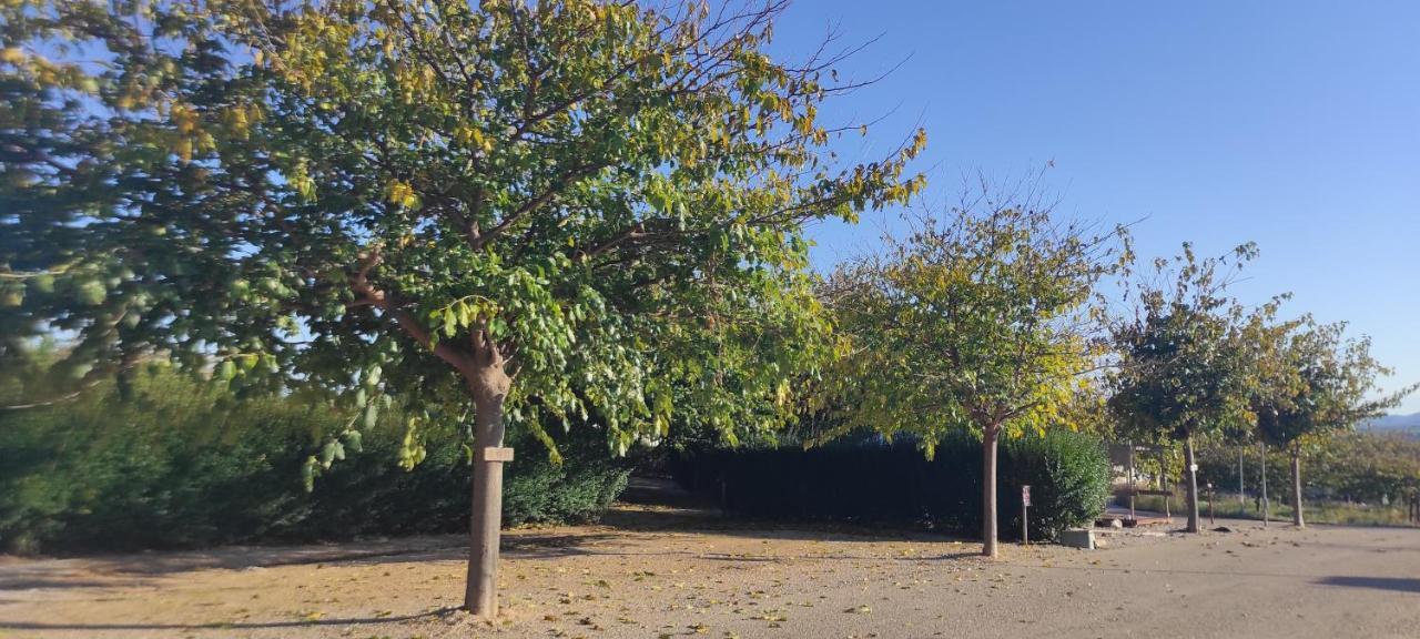 Campsite Maestrat Park Static Homes, Motorhomes, Caravans & Tents *
